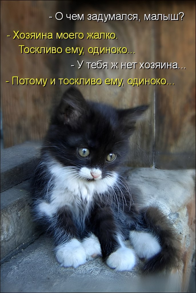 ОБО ВСЕМ - 15 октября 2025 в 14:43