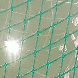 ���������, ��������, 39 ���