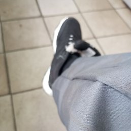 , , 32 