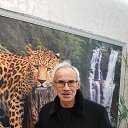 ���� �������, ������, 67 ��� - ��������� 5 ������� 2024 � ������ ���� ����������