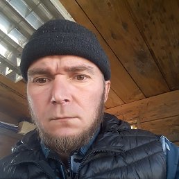 , 41, 