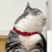 , 57 , 