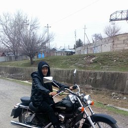 , 37, 
