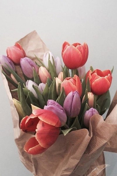 ������� ������ ������ - 6 ������ 2024 � 06:43 - 4