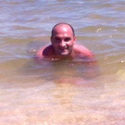 , 51, 