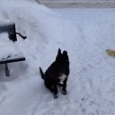����� �� ������� ���� ����������