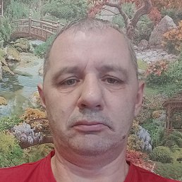 ������, �����, 46 ���