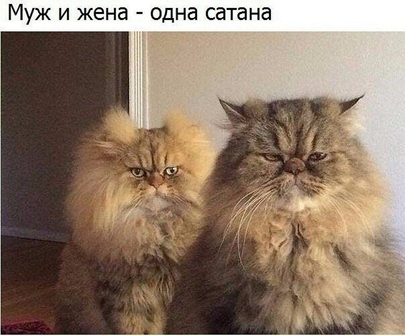 ? ,  ! - 21  2025  16:51