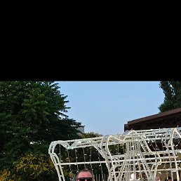 ���, ������������, 39 ���