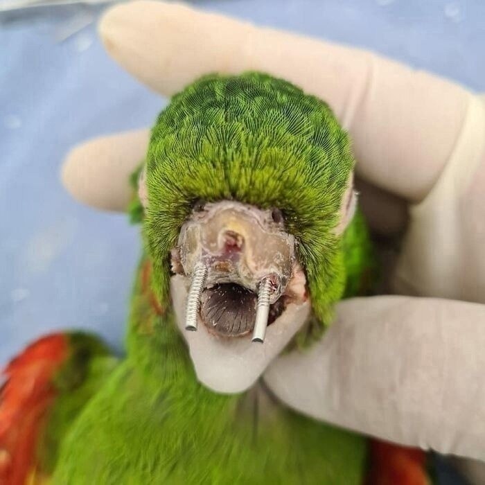pa oaa eepapo coepa acoee o: o coa o   oaa c ... - 6