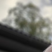 �����, 46 ���, ���������