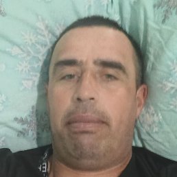 ����, ����� ���, 43 ����