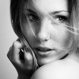 Roza, ���������, 36 ���