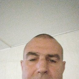 , 47 , -