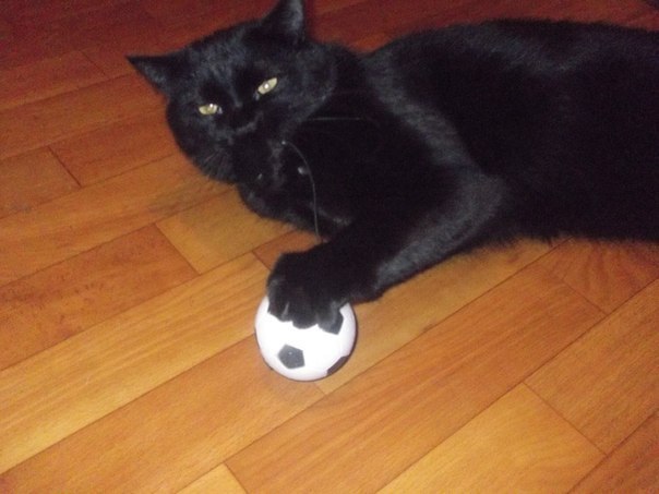 Andrei - 19  2025  23:10