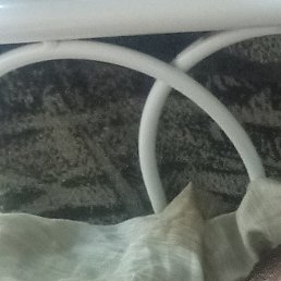 ������, �����������, 41 ���