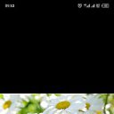 ���� ����, ����, 39 ��� - ��������� 26 ������� 2023 � ������ ���� ����������