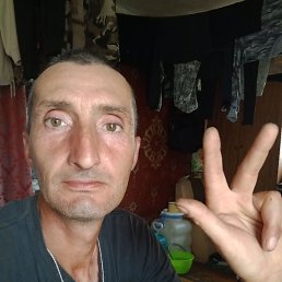 , 41, 