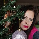 ���� �����, ������������ - ��������� 12 ������ 2026 � ������ ���� ����������