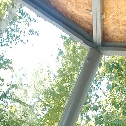 ������, ���������, 41 ���