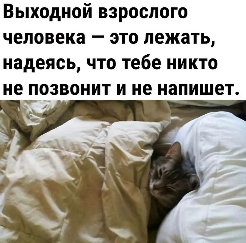☆ ☆ - 31  2025  00:32