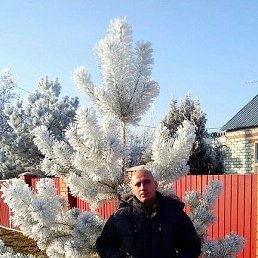 ���� ��������, ���������, 56 ��� - ��������� 7 ������� 2024