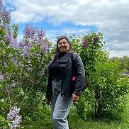 �����, 52 ����, ������