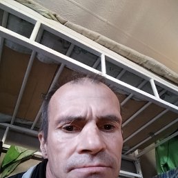  , 49, 
