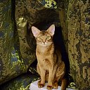  Aleks, , 64  -  29  2025    