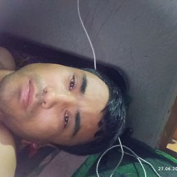 , 37, 