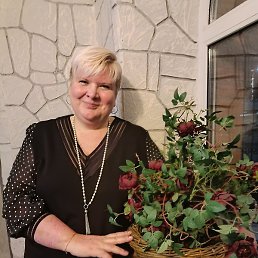 �����, ��������, 54 ����