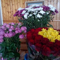 ������, �����, 64 ����