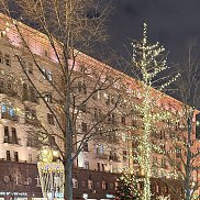 �����, 46 ���, ��������