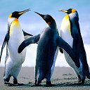 ���� �����, ����������, 26 ��� - ��������� 19 ������� 2025 � ������ ���� ����������