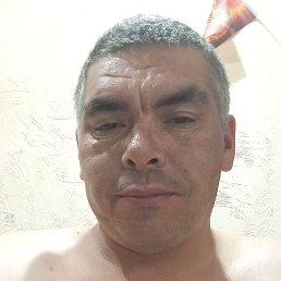 ������� �������, ������, 37 ���