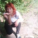 ���� ������, �������, 43 ���� - ��������� 24 ���� 2026 � ������ ���� ����������