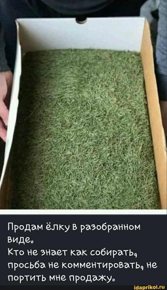   - 3  2024  21:25