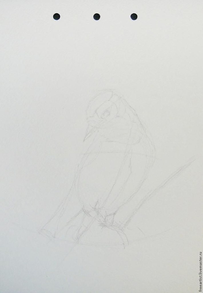  .    :1.  2.   3. ... - 2