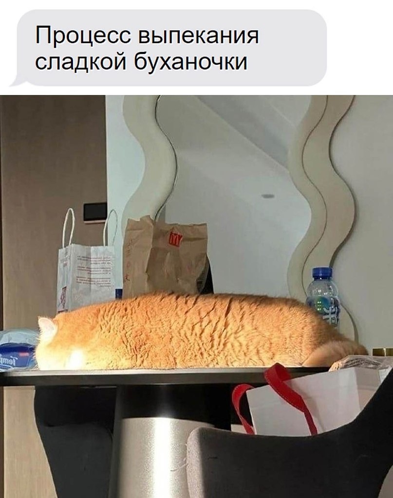    - 27  2024  22:23