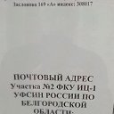 ���� ���������, ������, 49 ��� - ��������� 29 ������� 2024