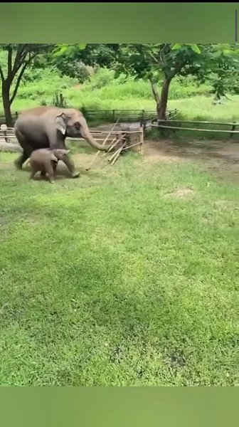 ����� ���� ����� � ������� � ��������� � � ��������� ��� �������� ������� ���������