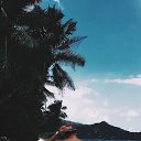 ���� �����, ������, 36 ��� - ��������� 22 ��� 2026