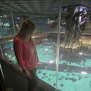 ���� �����, ������, 53 ���� - ��������� 5 ���� 2025 � ������ ���� ����������