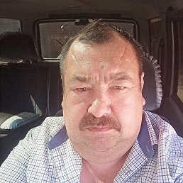, 55, 