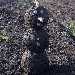 ����, ���������, 87 ���