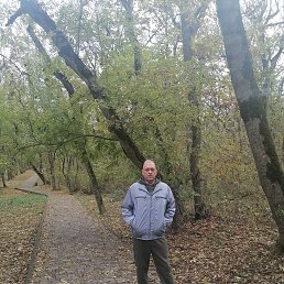 ��������, 51 ���, ���������