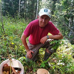 ������, �����, 49 ���