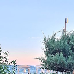 �����, �����, 58 ���