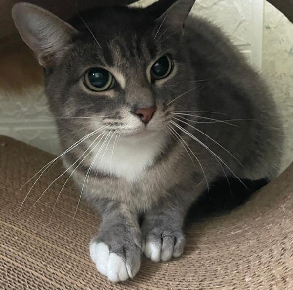 , . , .  ,  ,      .   ... - 2