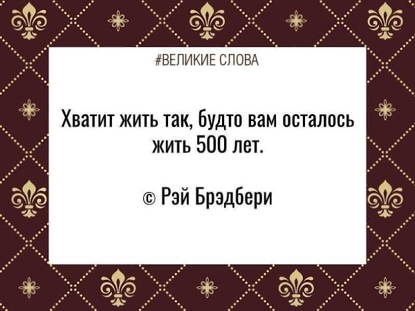   | ,    - 17  2024  11:33